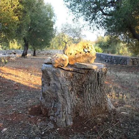 Casa vacanze Le Macchie *