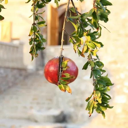 Le Macchie Casa vacanze *