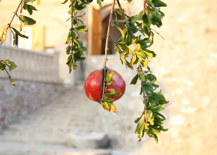 Le Macchie בית נופש *